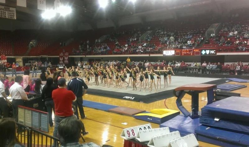Team Attraction Gymnastics -  - Poster