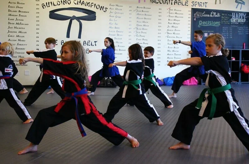 Championship Martial Arts -  - Poster