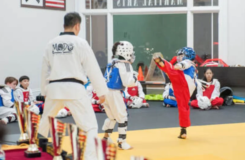 Modu Martial Arts School -  - Poster