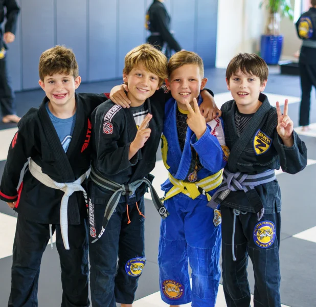 Jiu Jitsu Performance Academy -  - Poster