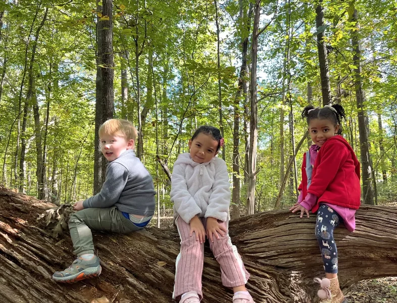Willow Oak Preschool -  - Poster